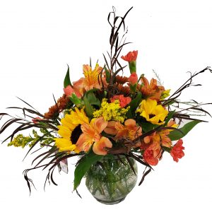 Fall Extravaganza